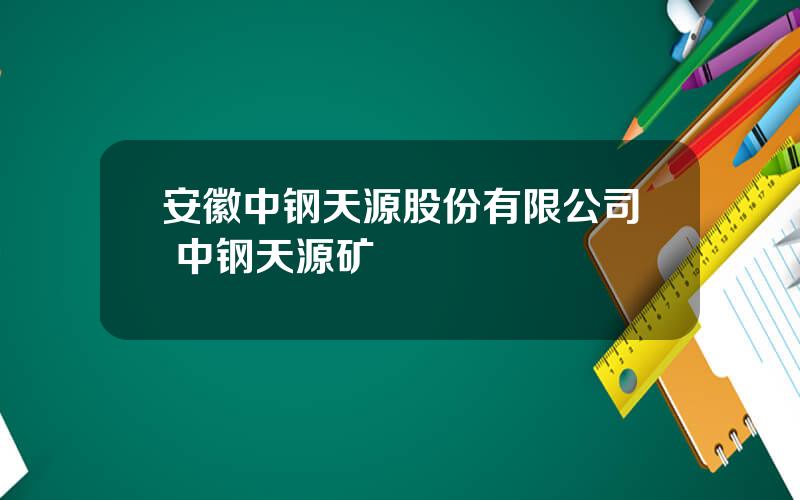 安徽中钢天源股份有限公司 中钢天源矿